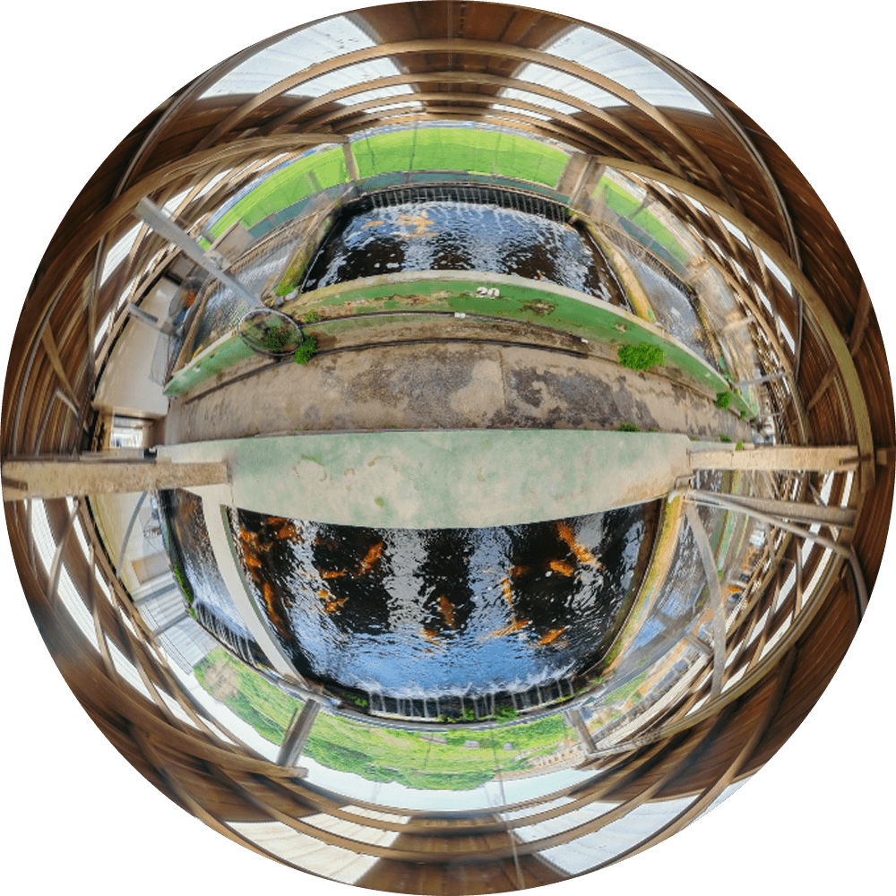 欣昌錦鯉養殖場 VR